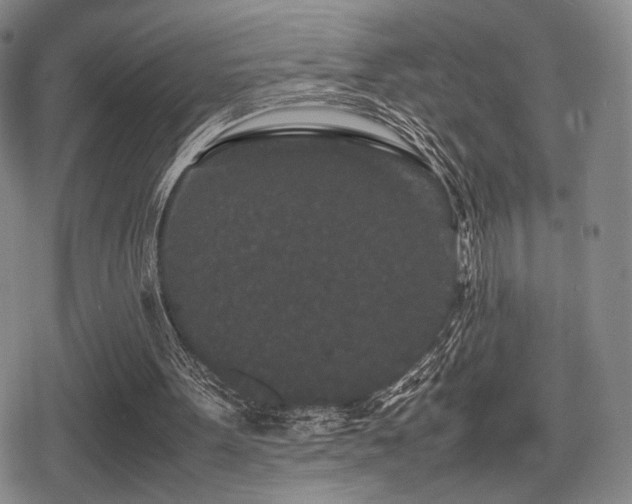 X0000080710099200612151144