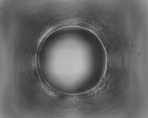 X0000080710100200612151144