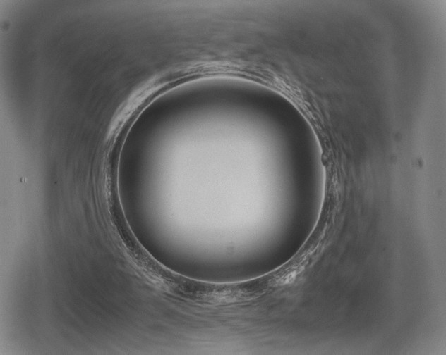 X0000080710103200612151144