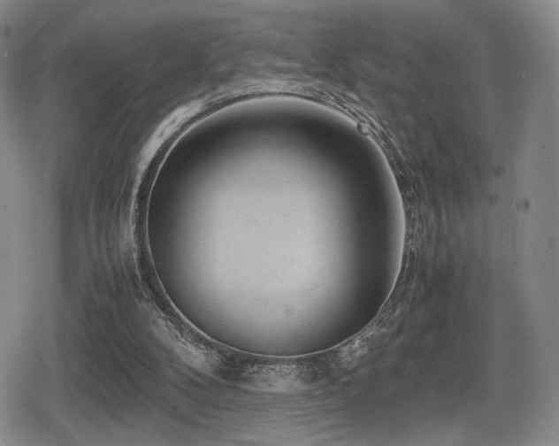 X0000080710104200612151144