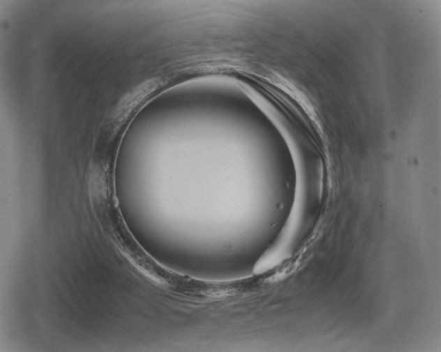 X0000080710105200612151144