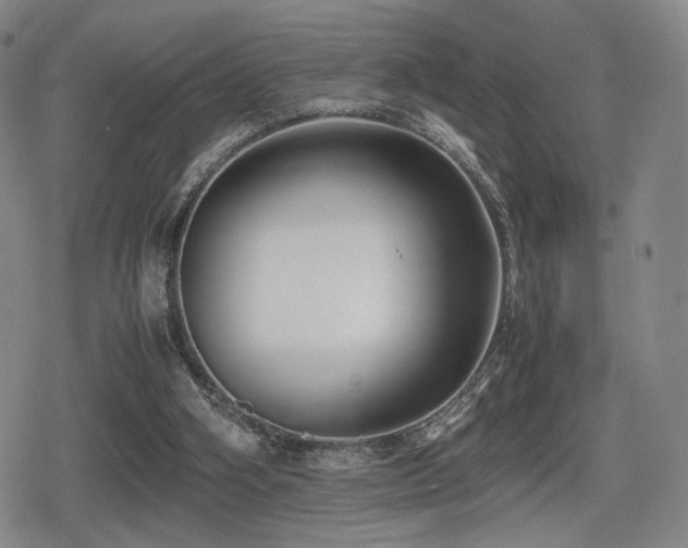 X0000080710106200612151144