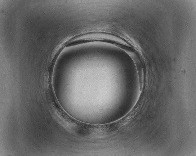 X0000080710107200612151144