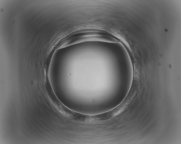 X0000080710109200612151144