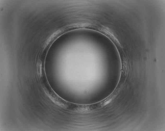 X0000080710110200612151144