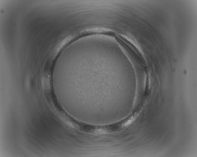 X0000080710111200612151144