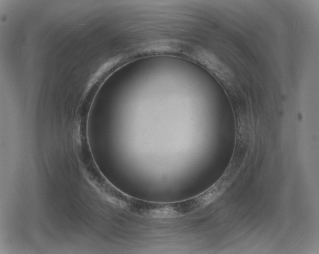 X0000080710112200612151144