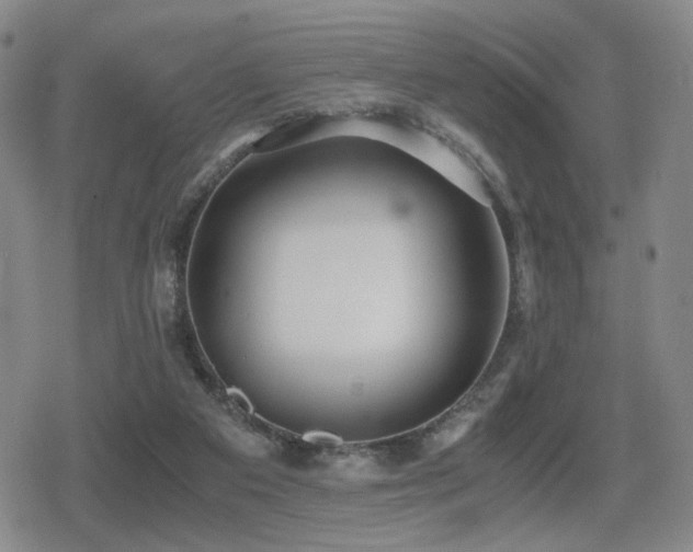 X0000080710113200612151144