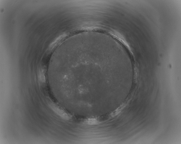 X0000080710114200612151144