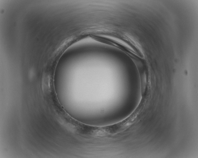 X0000080710115200612151143