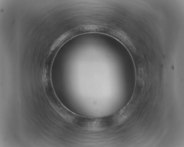 X0000080710116200612151143