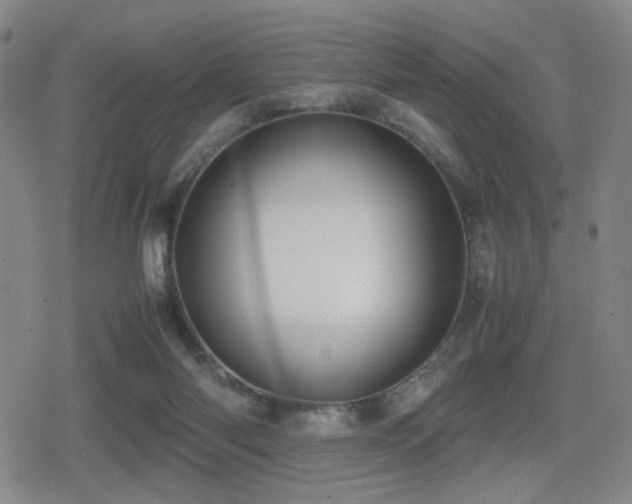 X0000080710118200612151143