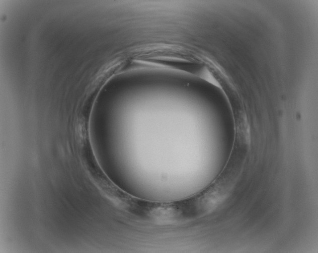 X0000080710119200612151143