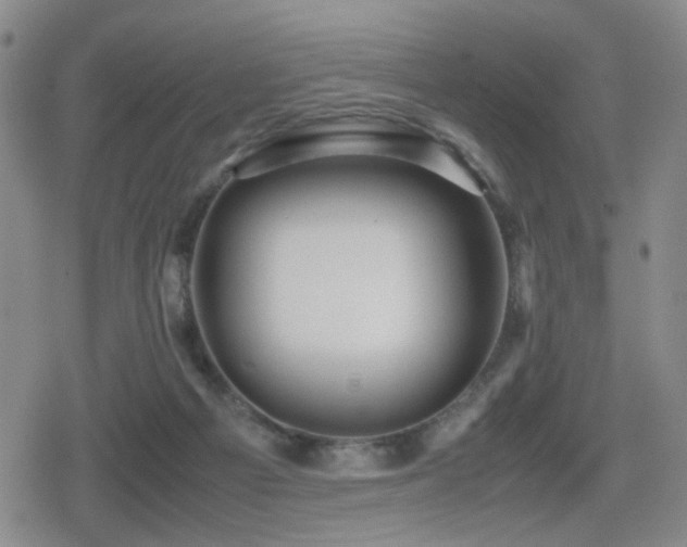 X0000080710121200612151143