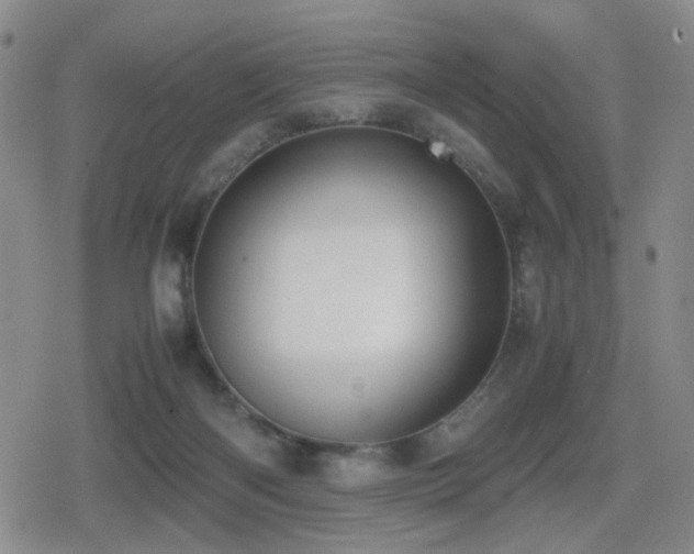 X0000080710122200612151143