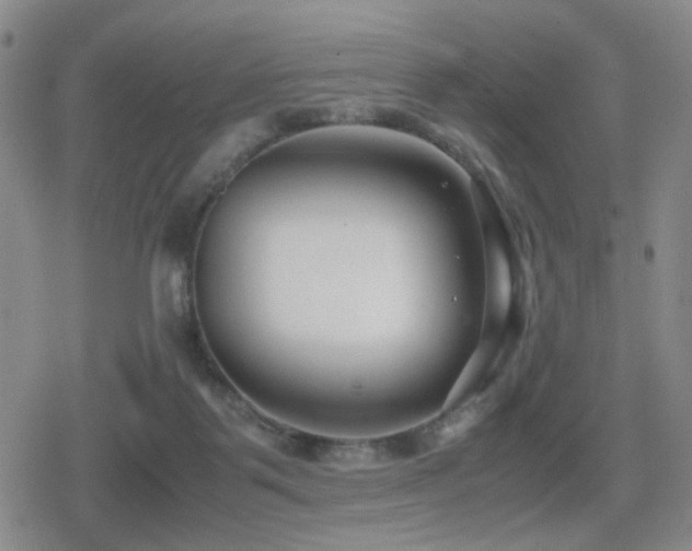 X0000080710123200612151143