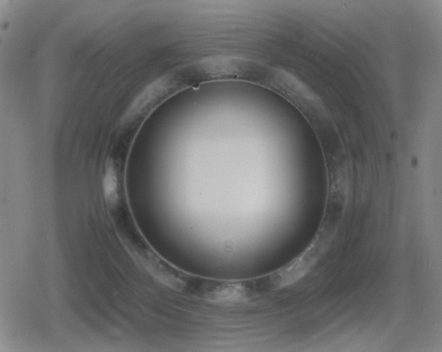 X0000080710124200612151143