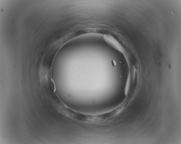 X0000080710125200612151143