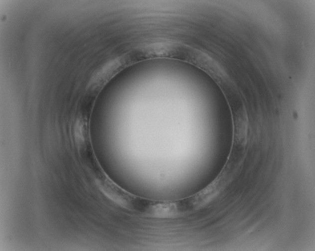 X0000080710126200612151143