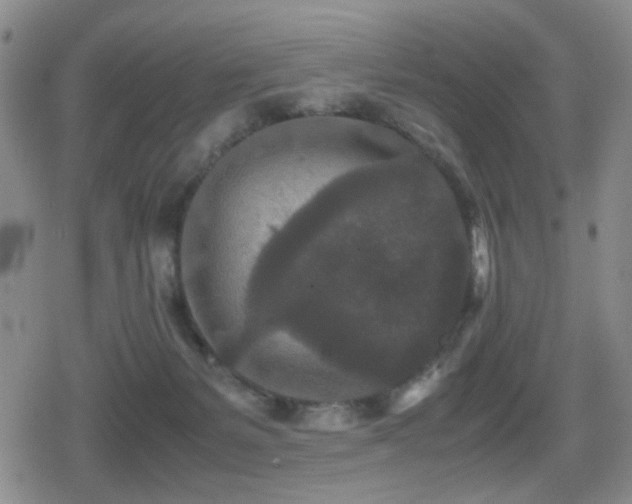 X0000080710127200612151143