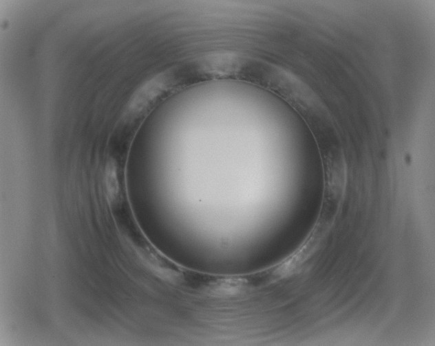 X0000080710128200612151143