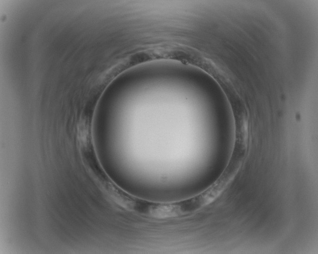 X0000080710129200612151143