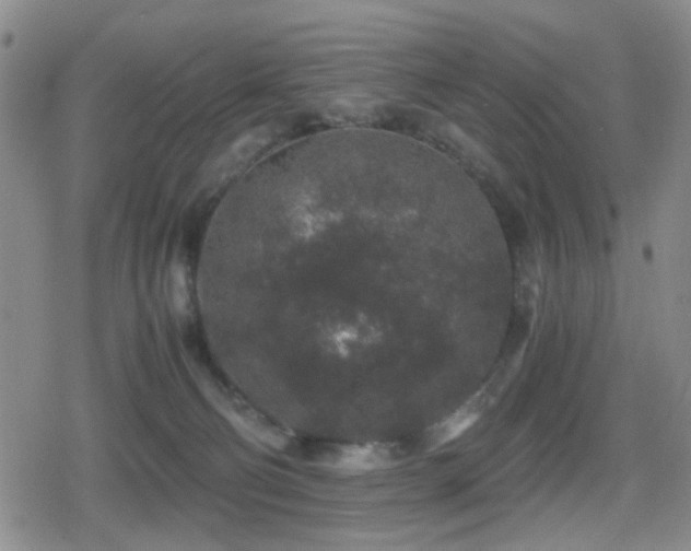 X0000080710130200612151143