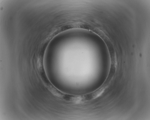 X0000080710131200612151143