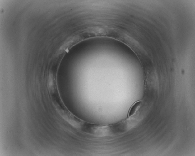 X0000080710132200612151143