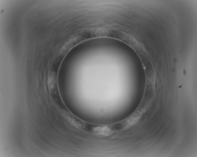 X0000080710133200612151143