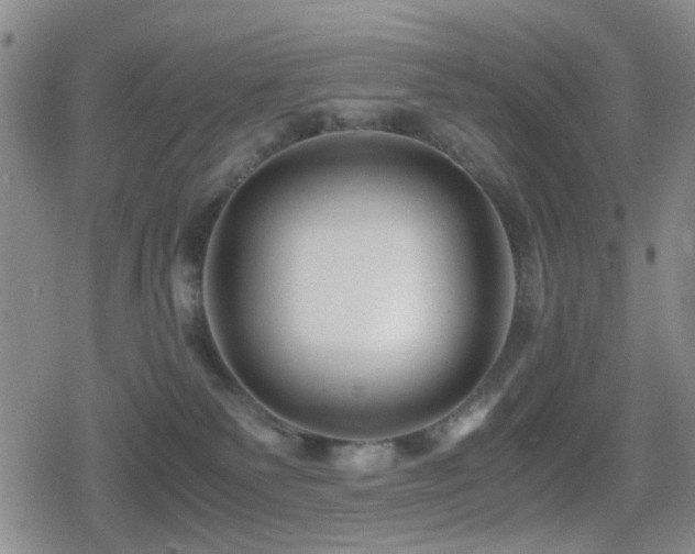 X0000080710135200612151143