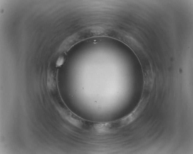 X0000080710136200612151143