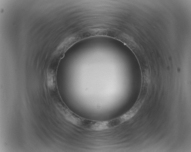 X0000080710138200612151143