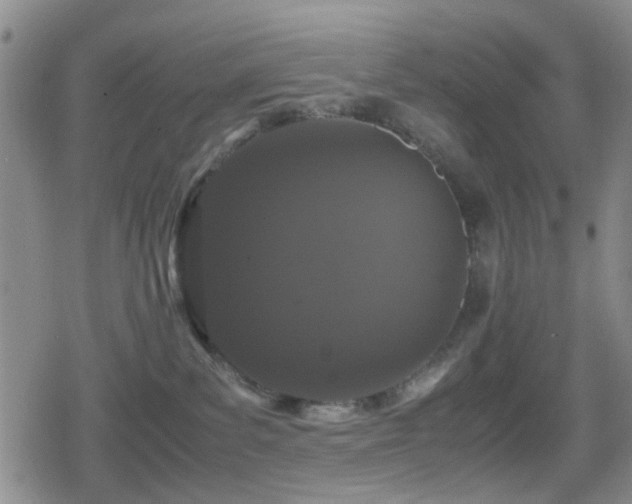 X0000080710139200612151143