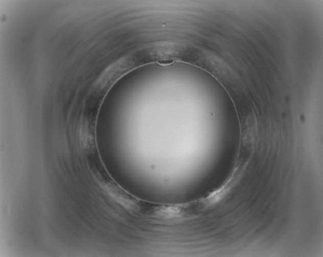 X0000080710140200612151143