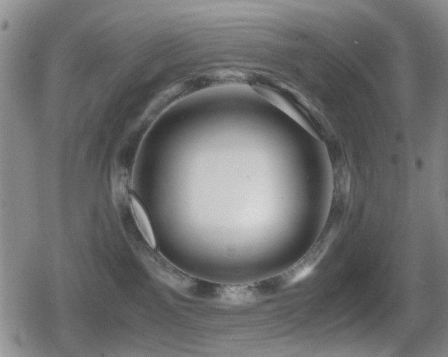 X0000080710141200612151143