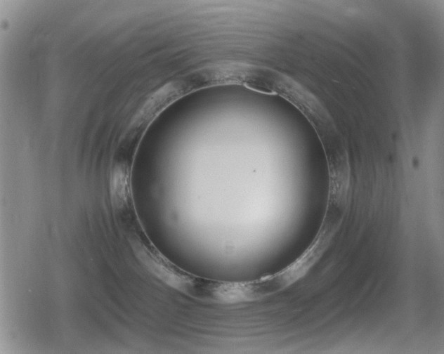 X0000080710142200612151143