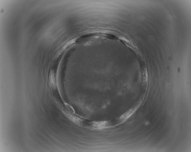 X0000080710143200612151143