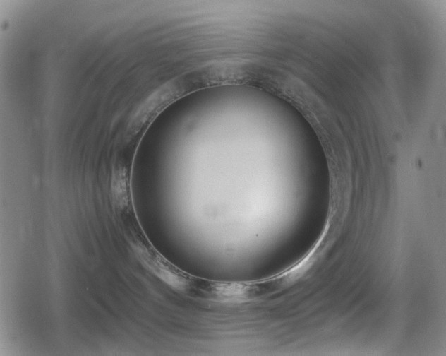 X0000080710144200612151143