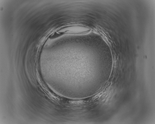 X0000080710145200612151142