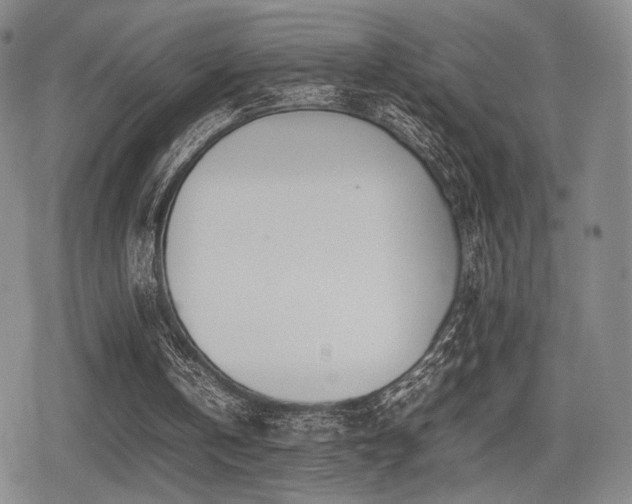 X0000080710146200612151142