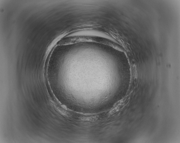 X0000080710147200612151142