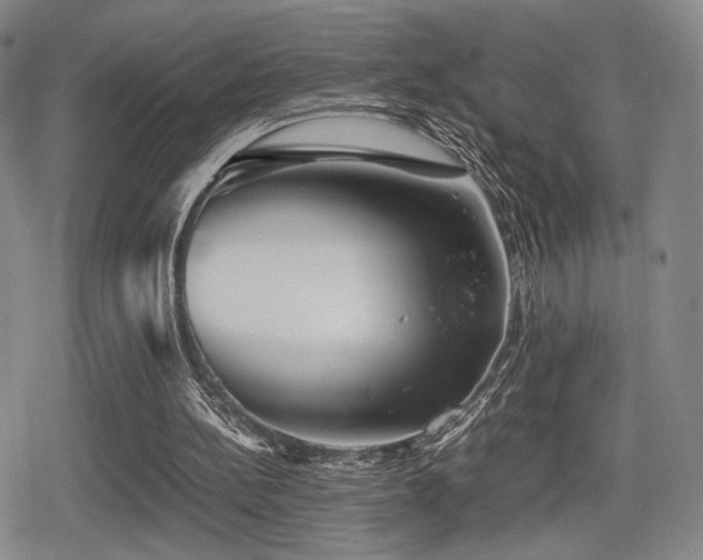 X0000080710148200612151142