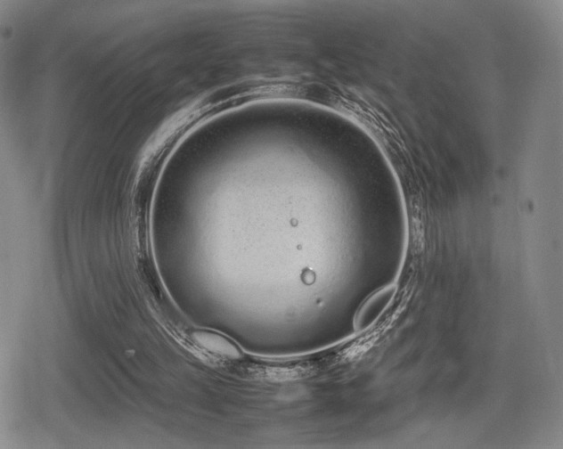 X0000080710149200612151142