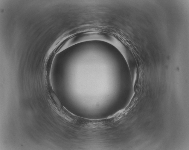 X0000080710150200612151142