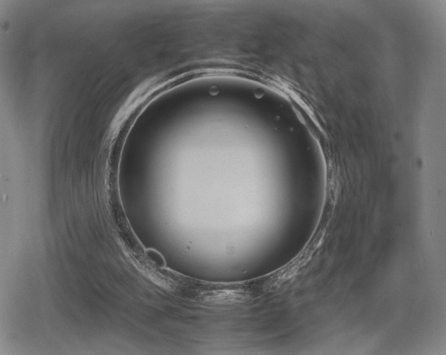 X0000080710151200612151142