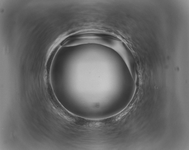 X0000080710152200612151142