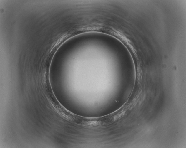 X0000080710153200612151142