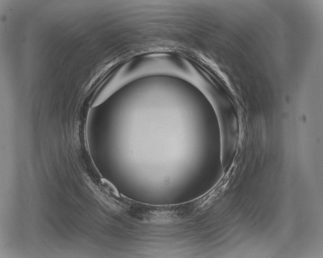 X0000080710154200612151142