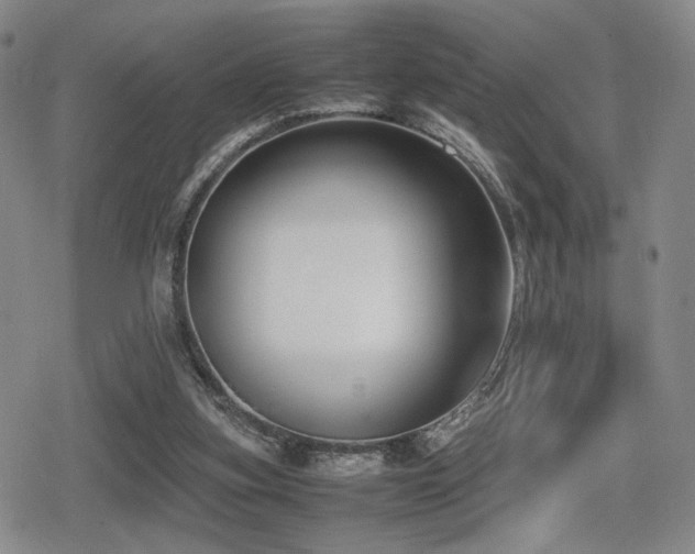 X0000080710155200612151142